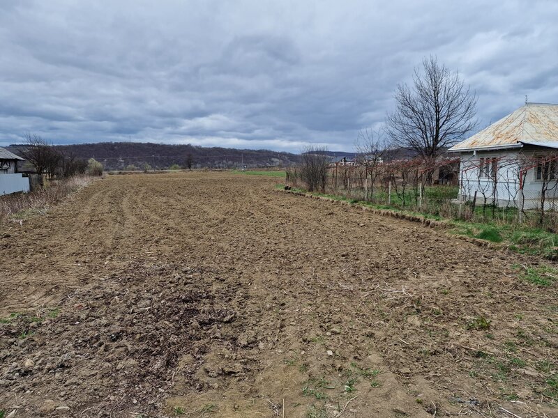 Teren intravilan in Sanduleni/ Bacau de vanzare