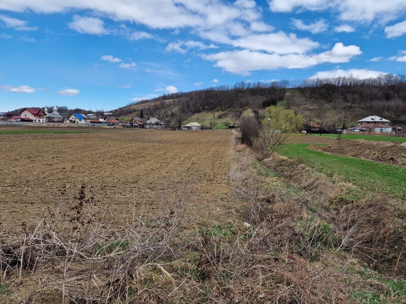 Teren intravilan in Sanduleni/ Bacau de vanzare
