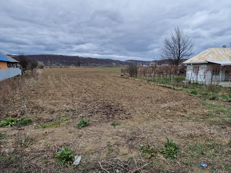 Teren intravilan in Sanduleni/ Bacau de vanzare